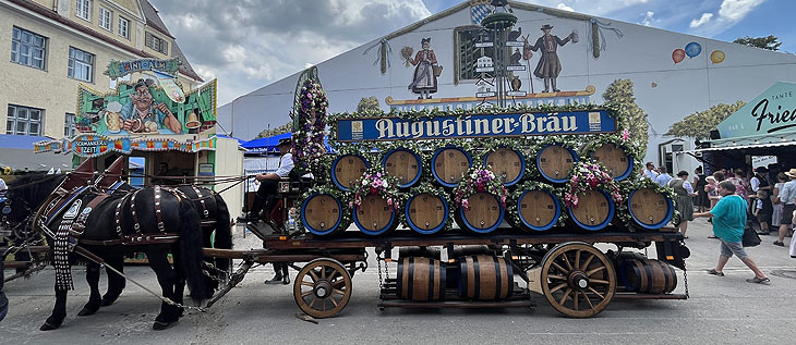 Im großen Festzelt auf de, Dachauer Volksfest 2022 wird 2022 erstmals Augustiner ausgeschenkt (©Foto. Martin Schmitz)